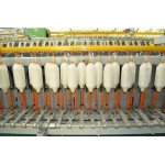 FL 200 Simplex Machine with Auto Doffing 